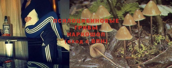 эйфоретик Богородицк