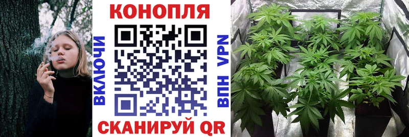 Бошки Шишки план  купить   маркетплейс телеграм  Белокуриха 